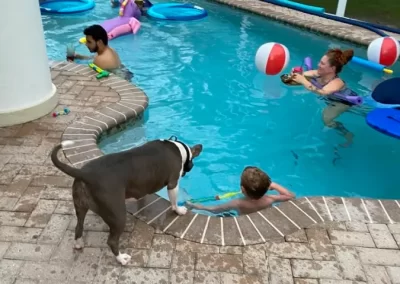 Affordable Pool Care Services